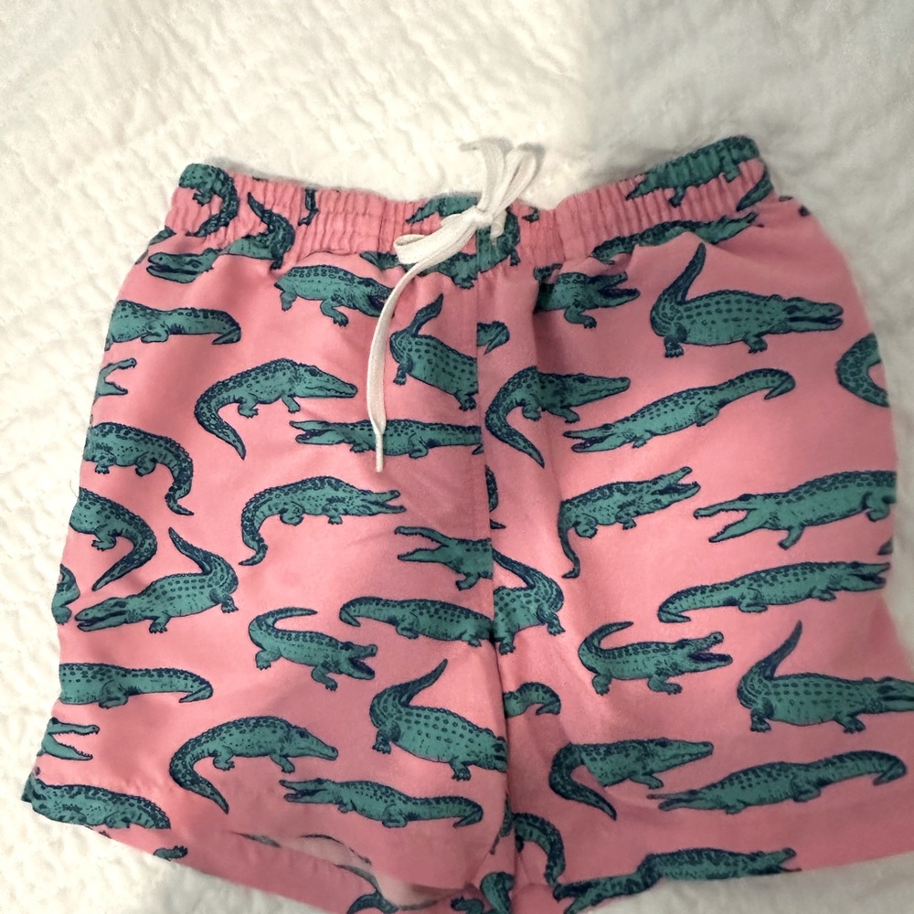 Chubbies Small!